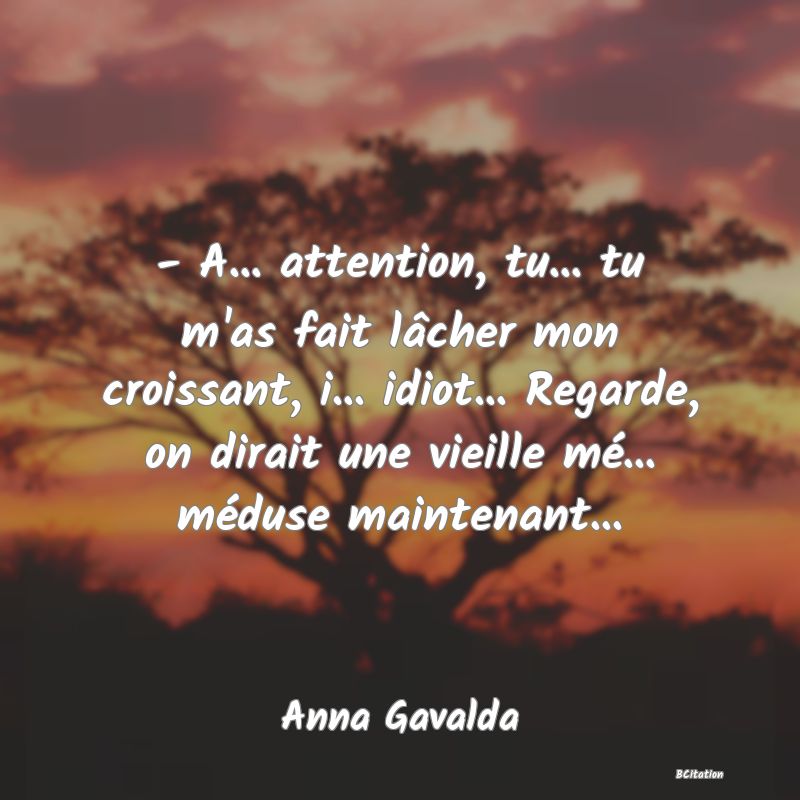 Belle Citation - - A... attention, tu... tu m'as fait lâcher mon croissant, i... idiot... Regarde, on dirait une vieille mé... méduse maintenant... - Anna Gavalda