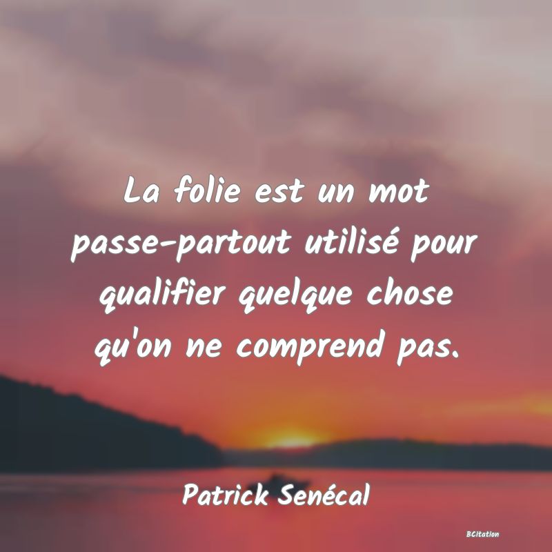 Belle Citation - La folie est un mot passe-partout utilisé pour qualifier quelque chose qu'on ne comprend pas. - Patrick Senécal
