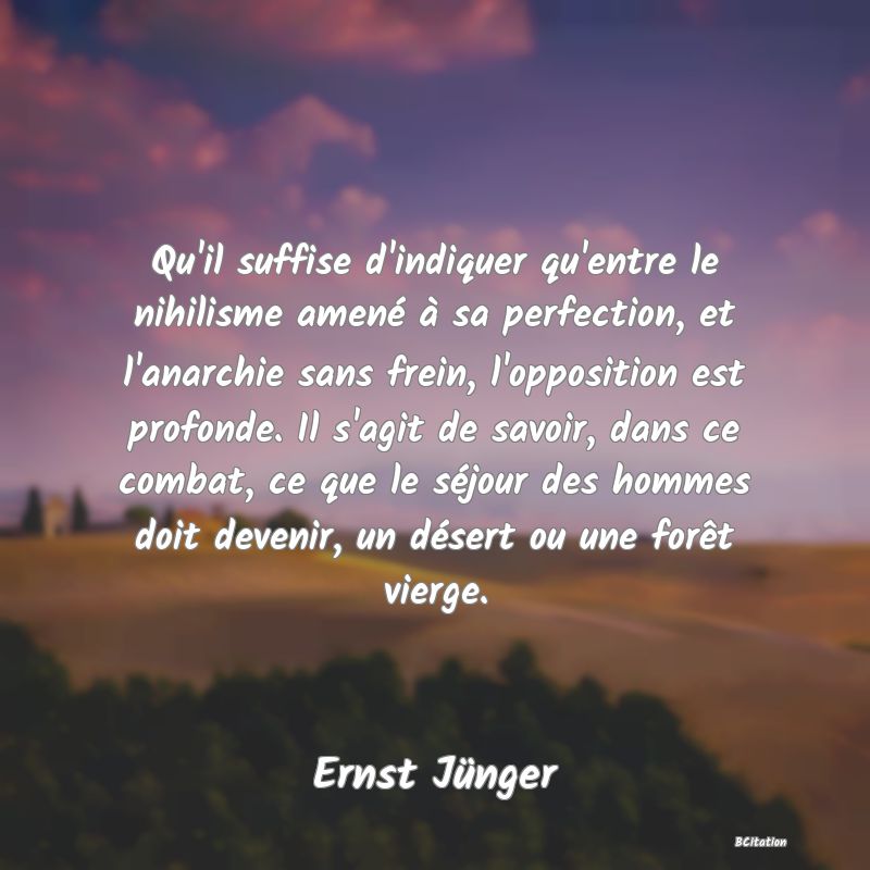Belle Citation - Qu'il suffise d'indiquer qu'entre le nihilisme amené à sa perfection, et l'anarchie sans frein, l'opposition est profonde. Il s'agit de savoir, dans ce combat, ce que le séjour des hommes doit devenir, un désert ou une forêt vierge. - Ernst Jünger