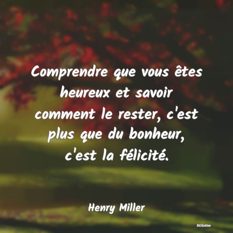 image de citation: Comprendre que vous êtes heureux et savoir comment le rester, c'est plus que du bonheur, c'est la félicité.