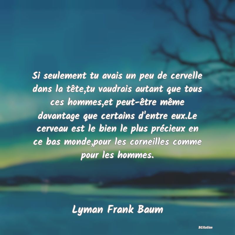 image de citation: Si seulement tu avais un peu de cervelle dans la tête,tu vaudrais autant que tous ces hommes,et peut-être même davantage que certains d'entre eux.Le cerveau est le bien le plus précieux en ce bas monde,pour les corneilles comme pour les hommes.