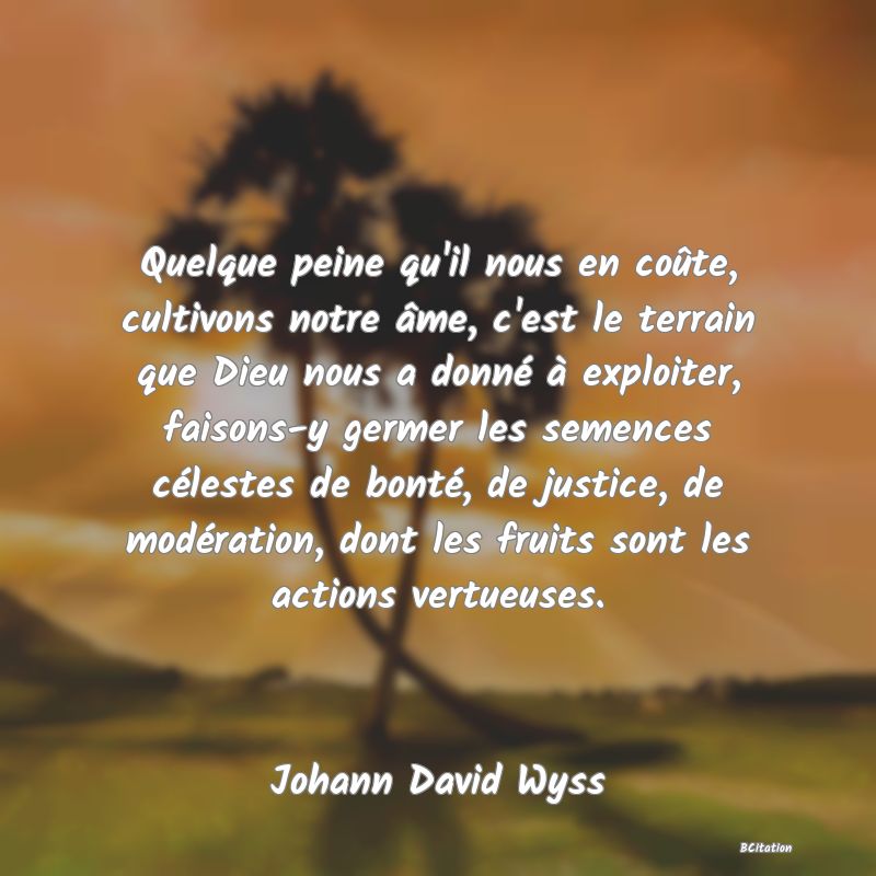 image de citation: Quelque peine qu'il nous en coûte, cultivons notre âme, c'est le terrain que Dieu nous a donné à exploiter, faisons-y germer les semences célestes de bonté, de justice, de modération, dont les fruits sont les actions vertueuses.