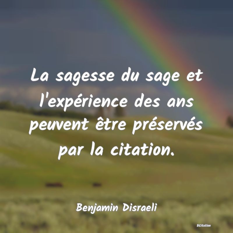 image de citation: La sagesse du sage et l'expérience des ans peuvent être préservés par la citation.