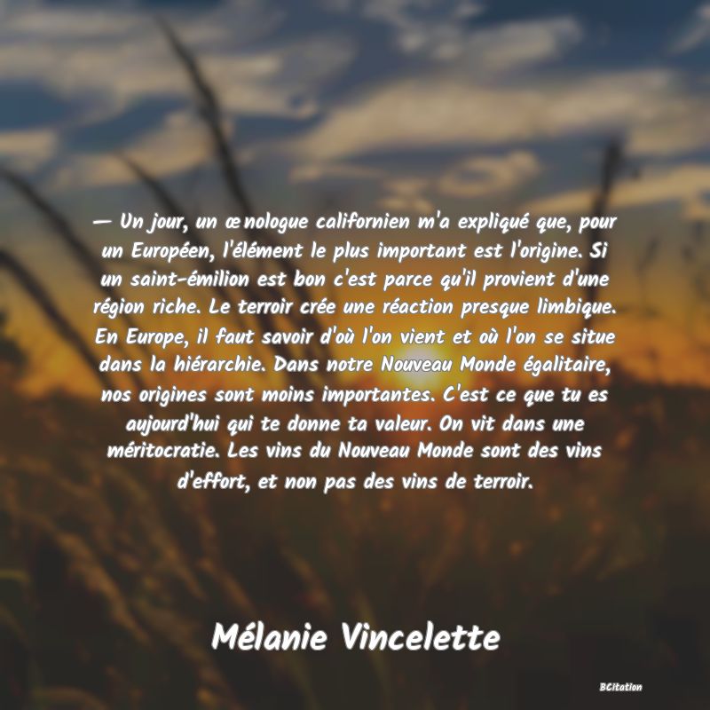 image de citation: — Un jour, un œnologue californien m'a expliqué que, pour un Européen, l'élément le plus important est l'origine. Si un saint-émilion est bon c'est parce qu'il provient d'une région riche. Le terroir crée une réaction presque limbique. En Europe, il faut savoir d'où l'on vient et où l'on se situe dans la hiérarchie. Dans notre Nouveau Monde égalitaire, nos origines sont moins importantes. C'est ce que tu es aujourd'hui qui te donne ta valeur. On vit dans une méritocratie. Les vins du Nouveau Monde sont des vins d'effort, et non pas des vins de terroir.