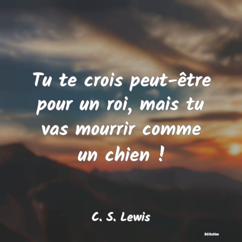 image de citation: Tu te crois peut-être pour un roi, mais tu vas mourrir comme un chien !