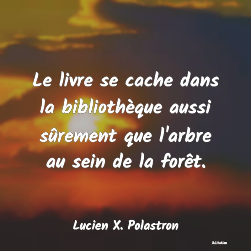 image de citation: Le livre se cache dans la bibliothèque aussi sûrement que l'arbre au sein de la forêt.