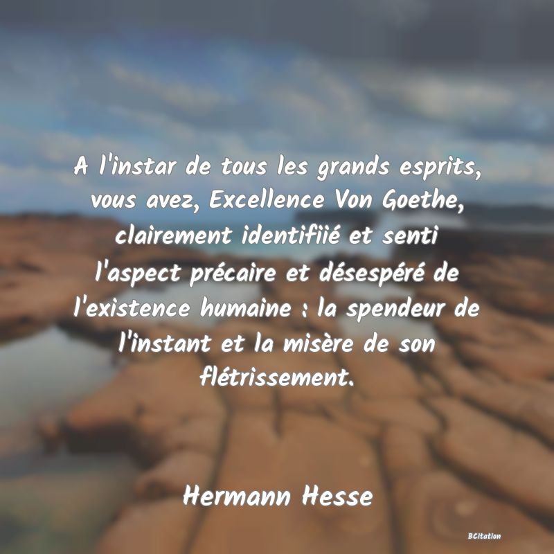 image de citation: A l'instar de tous les grands esprits, vous avez, Excellence Von Goethe, clairement identifiié et senti l'aspect précaire et désespéré de l'existence humaine : la spendeur de l'instant et la misère de son flétrissement.