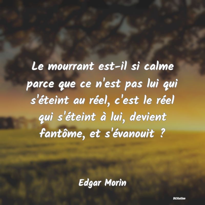 image de citation: Le mourrant est-il si calme parce que ce n'est pas lui qui s'éteint au réel, c'est le réel qui s'éteint à lui, devient fantôme, et s'évanouit ?