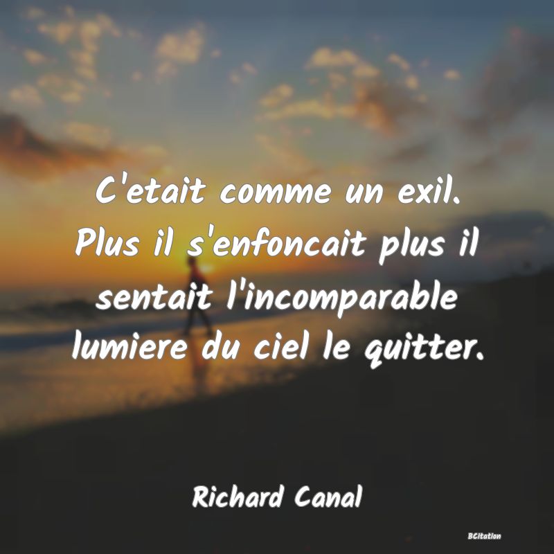 image de citation: C'etait comme un exil. Plus il s'enfoncait plus il sentait l'incomparable lumiere du ciel le quitter.