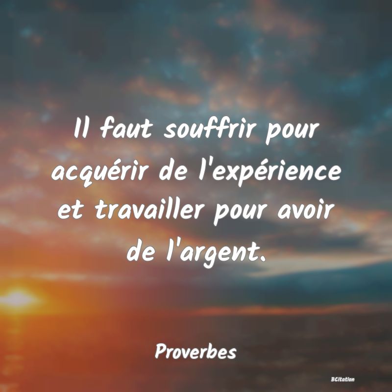 image de citation: Il faut souffrir pour acquérir de l'expérience et travailler pour avoir de l'argent.