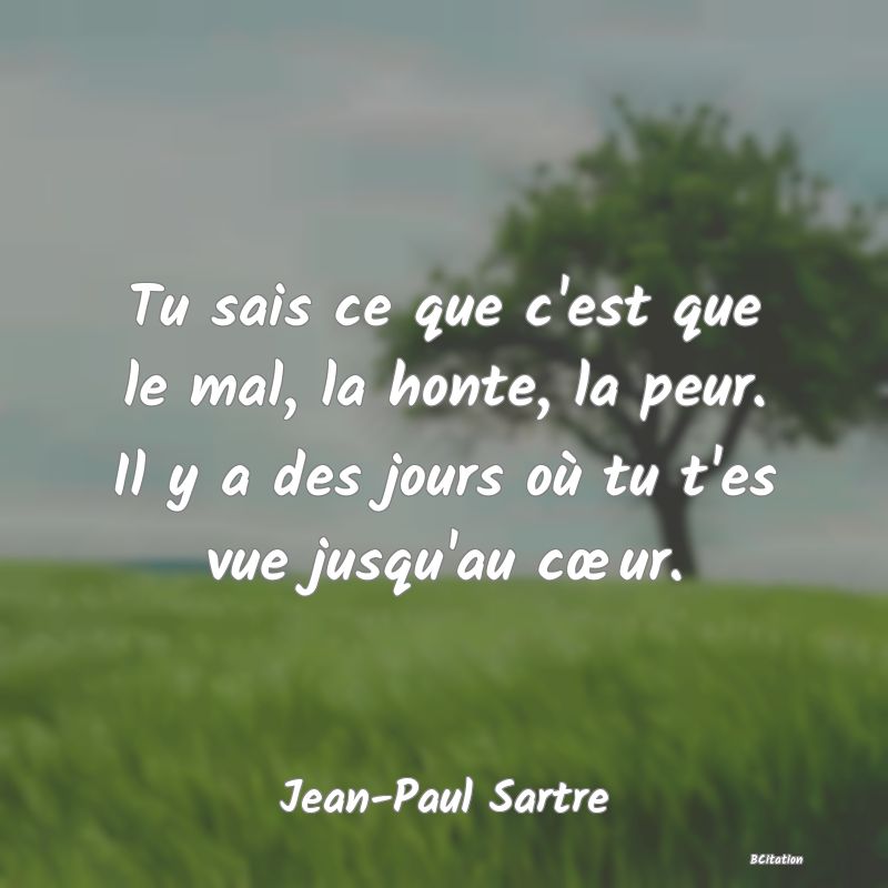 image de citation: Tu sais ce que c'est que le mal, la honte, la peur. Il y a des jours où tu t'es vue jusqu'au cœur.