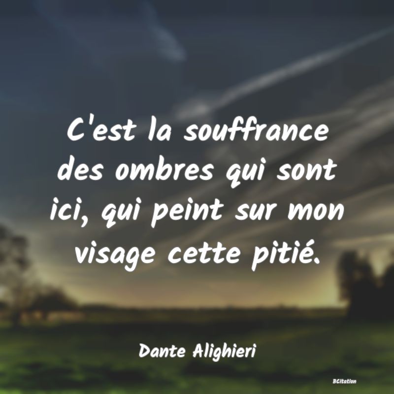 image de citation: C'est la souffrance des ombres qui sont ici, qui peint sur mon visage cette pitié.