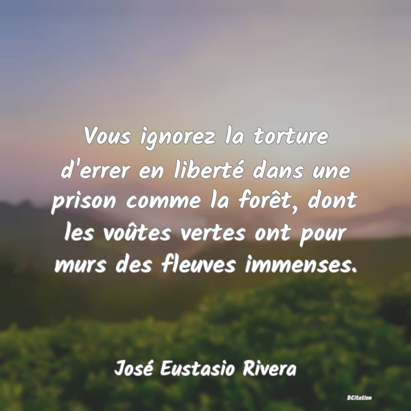 image de citation: Vous ignorez la torture d'errer en liberté dans une prison comme la forêt, dont les voûtes vertes ont pour murs des fleuves immenses.