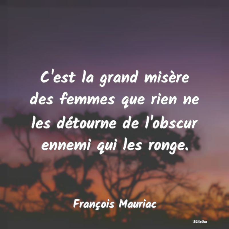 image de citation: C'est la grand misère des femmes que rien ne les détourne de l'obscur ennemi qui les ronge.