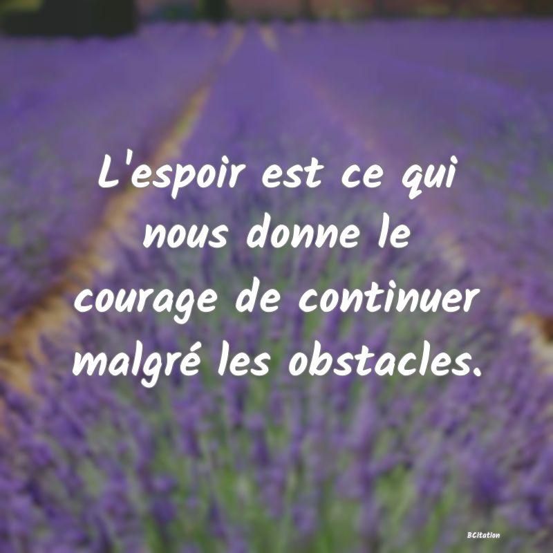 image de citation: L'espoir est ce qui nous donne le courage de continuer malgré les obstacles.
