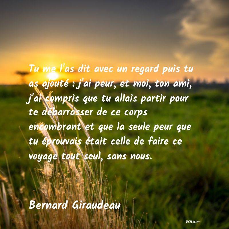 image de citation: Tu me l'as dit avec un regard puis tu as ajouté : j'ai peur, et moi, ton ami, j'ai compris que tu allais partir pour te débarrasser de ce corps encombrant et que la seule peur que tu éprouvais était celle de faire ce voyage tout seul, sans nous.