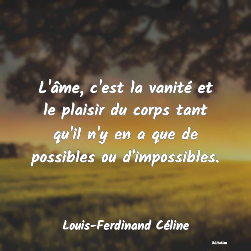 Belle Citation - L'âme, c'est la vanité et le plaisir du corps tant qu'il n'y en a que de possibles ou d'impossibles. - Louis-Ferdinand Céline