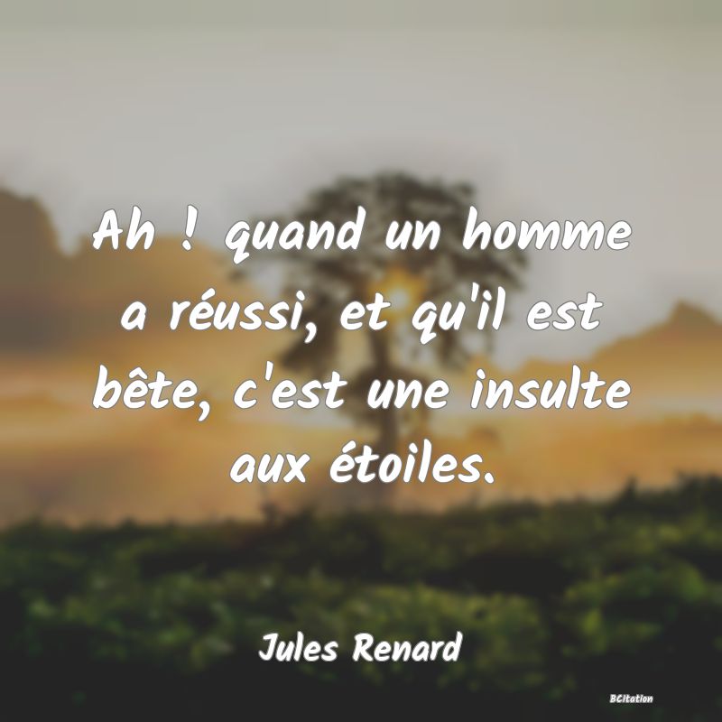 image de citation: Ah ! quand un homme a réussi, et qu'il est bête, c'est une insulte aux étoiles.