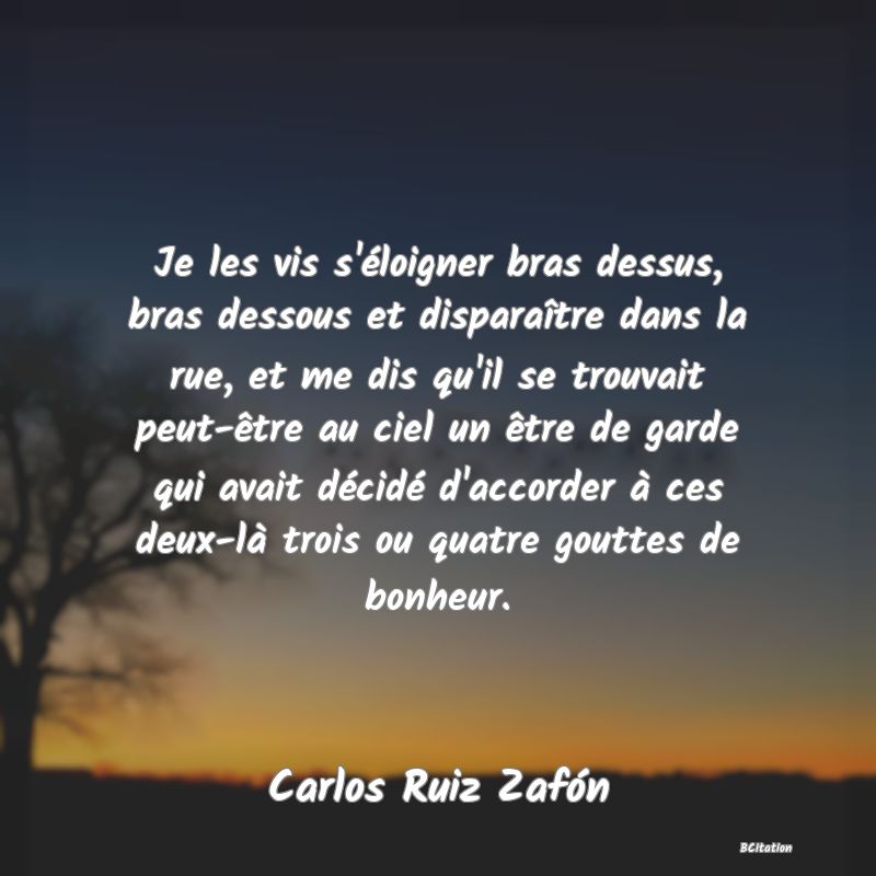 Belle Citation - Je les vis s'éloigner bras dessus, bras dessous et disparaître dans la rue, et me dis qu'il se trouvait peut-être au ciel un être de garde qui avait décidé d'accorder à ces deux-là trois ou quatre gouttes de bonheur. - Carlos Ruiz Zafón