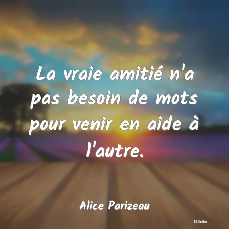 image de citation: La vraie amitié n'a pas besoin de mots pour venir en aide à l'autre.