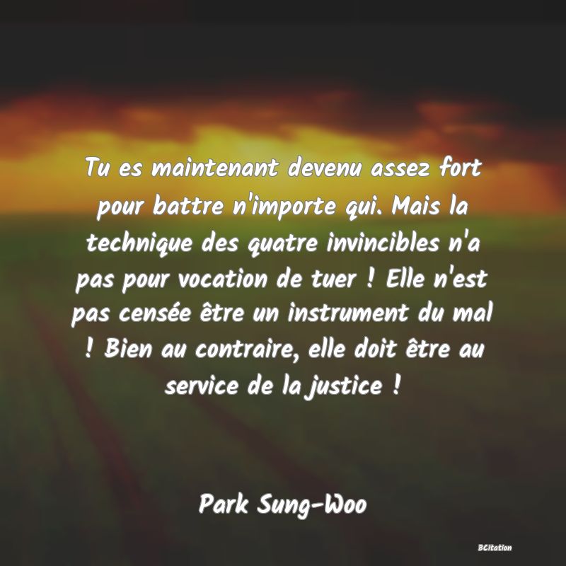 image de citation: Tu es maintenant devenu assez fort pour battre n'importe qui. Mais la technique des quatre invincibles n'a pas pour vocation de tuer ! Elle n'est pas censée être un instrument du mal ! Bien au contraire, elle doit être au service de la justice !