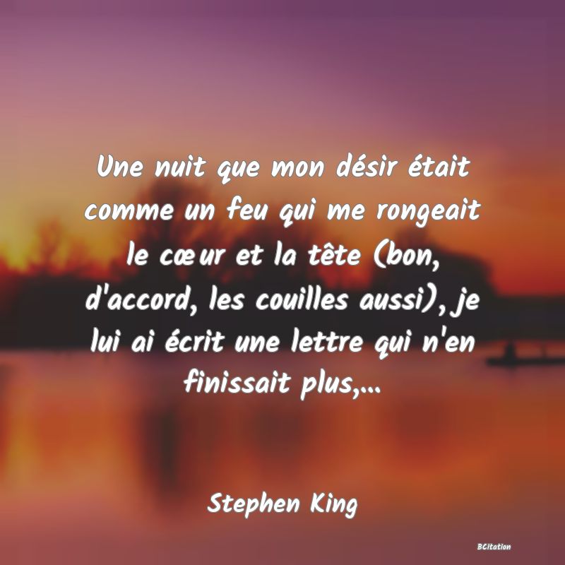 Belle Citation - Une nuit que mon désir était comme un feu qui me rongeait le cœur et la tête (bon, d'accord, les couilles aussi), je lui ai écrit une lettre qui n'en finissait plus,... - Stephen King
