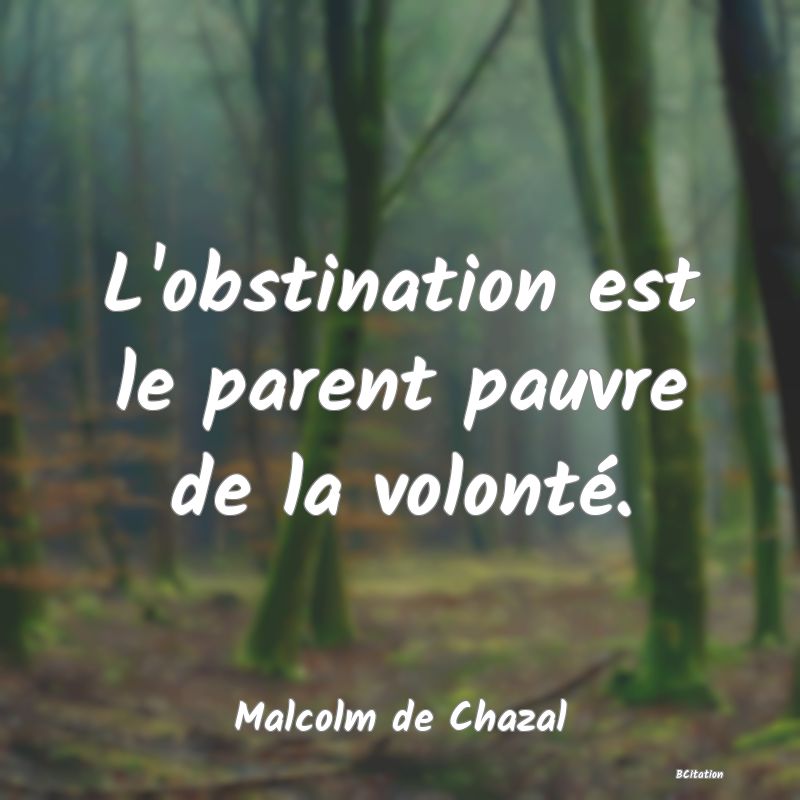 Belle Citation - L'obstination est le parent pauvre de la volonté. - Malcolm de Chazal