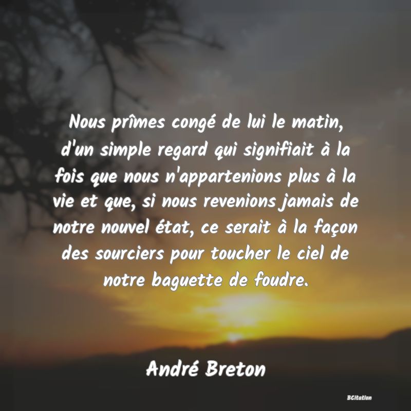 image de citation: Nous prîmes congé de lui le matin, d'un simple regard qui signifiait à la fois que nous n'appartenions plus à la vie et que, si nous revenions jamais de notre nouvel état, ce serait à la façon des sourciers pour toucher le ciel de notre baguette de foudre.