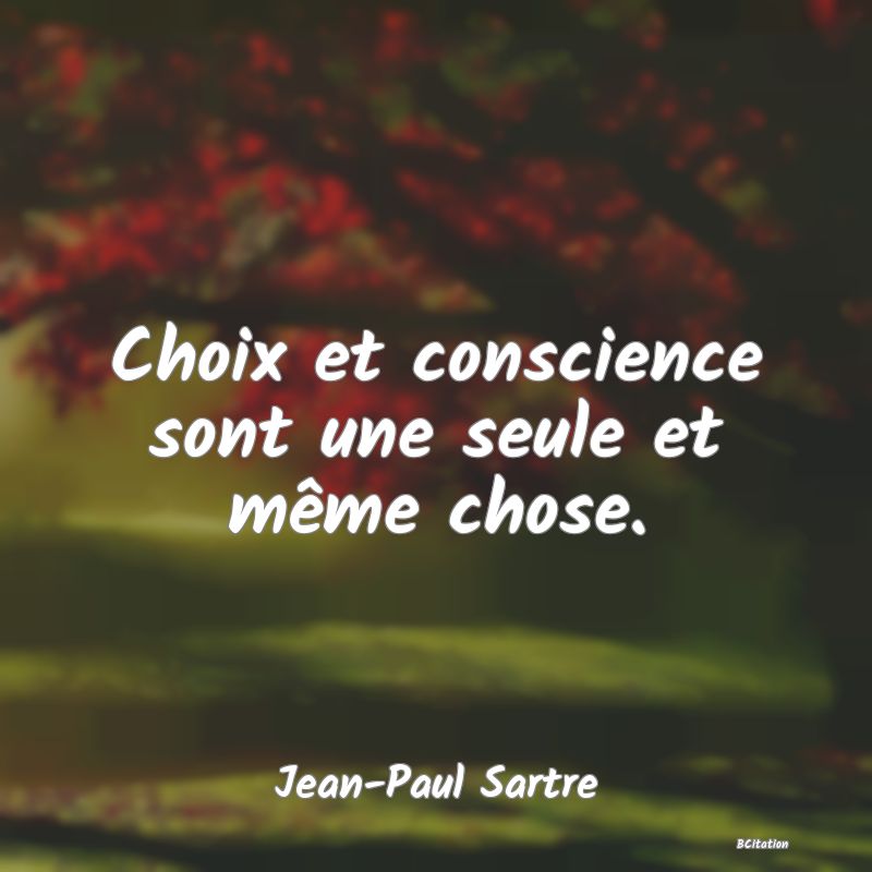 image de citation: Choix et conscience sont une seule et même chose.