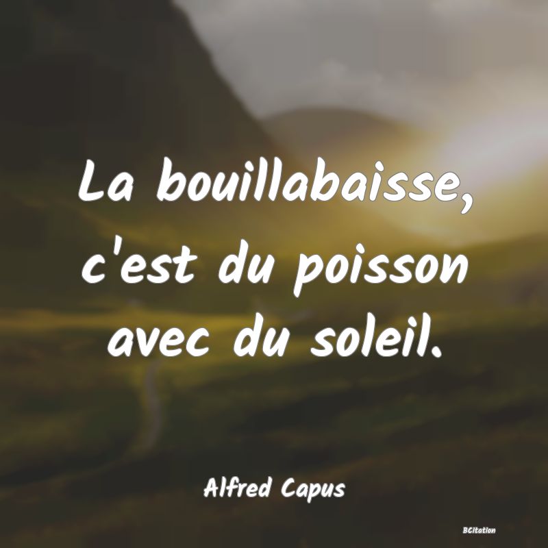 image de citation: La bouillabaisse, c'est du poisson avec du soleil.