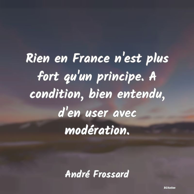 image de citation: Rien en France n'est plus fort qu'un principe. A condition, bien entendu, d'en user avec modération.