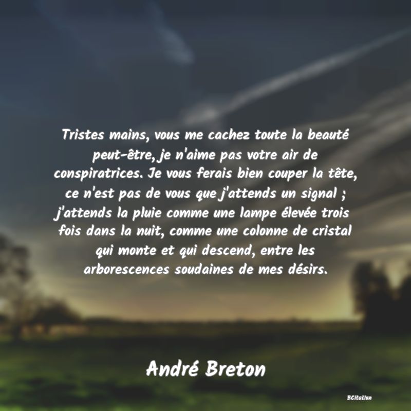 image de citation: Tristes mains, vous me cachez toute la beauté peut-être, je n'aime pas votre air de conspiratrices. Je vous ferais bien couper la tête, ce n'est pas de vous que j'attends un signal ; j'attends la pluie comme une lampe élevée trois fois dans la nuit, comme une colonne de cristal qui monte et qui descend, entre les arborescences soudaines de mes désirs.