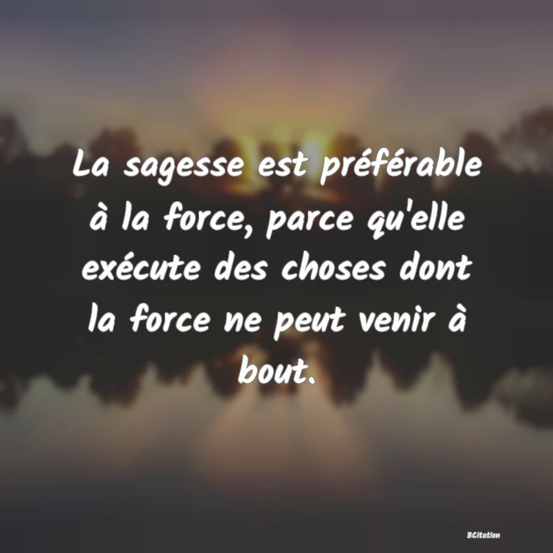 Belle Citation - La sagesse est préférable à la force, parce qu'elle exécute des choses dont la force ne peut venir à bout. - 