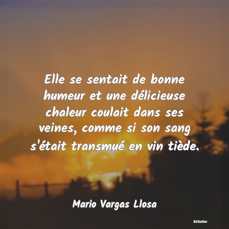 Belle Citation - Elle se sentait de bonne humeur et une délicieuse chaleur coulait dans ses veines, comme si son sang s'était transmué en vin tiède. - Mario Vargas Llosa