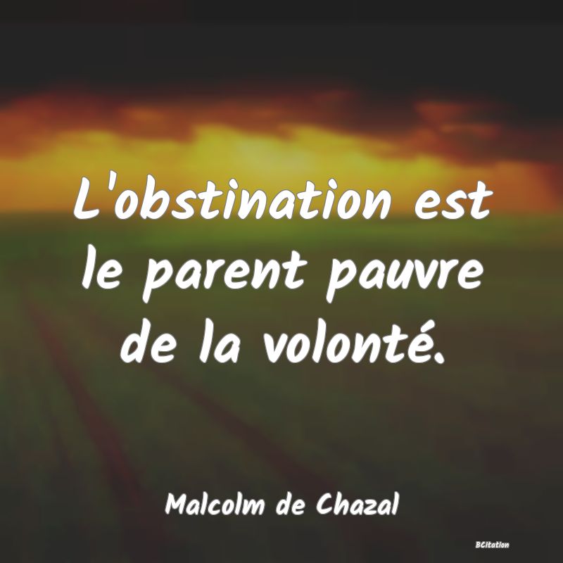 image de citation: L'obstination est le parent pauvre de la volonté.