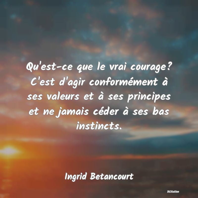 image de citation: Qu'est-ce que le vrai courage? C'est d'agir conformément à ses valeurs et à ses principes et ne jamais céder à ses bas instincts.