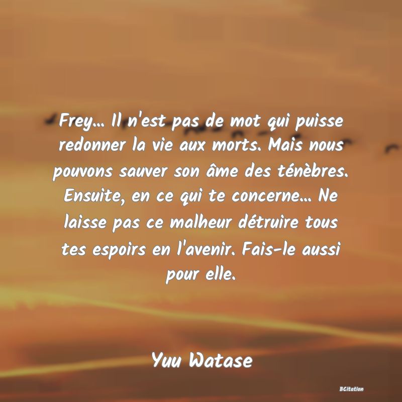 image de citation: Frey... Il n'est pas de mot qui puisse redonner la vie aux morts. Mais nous pouvons sauver son âme des ténèbres. Ensuite, en ce qui te concerne... Ne laisse pas ce malheur détruire tous tes espoirs en l'avenir. Fais-le aussi pour elle.