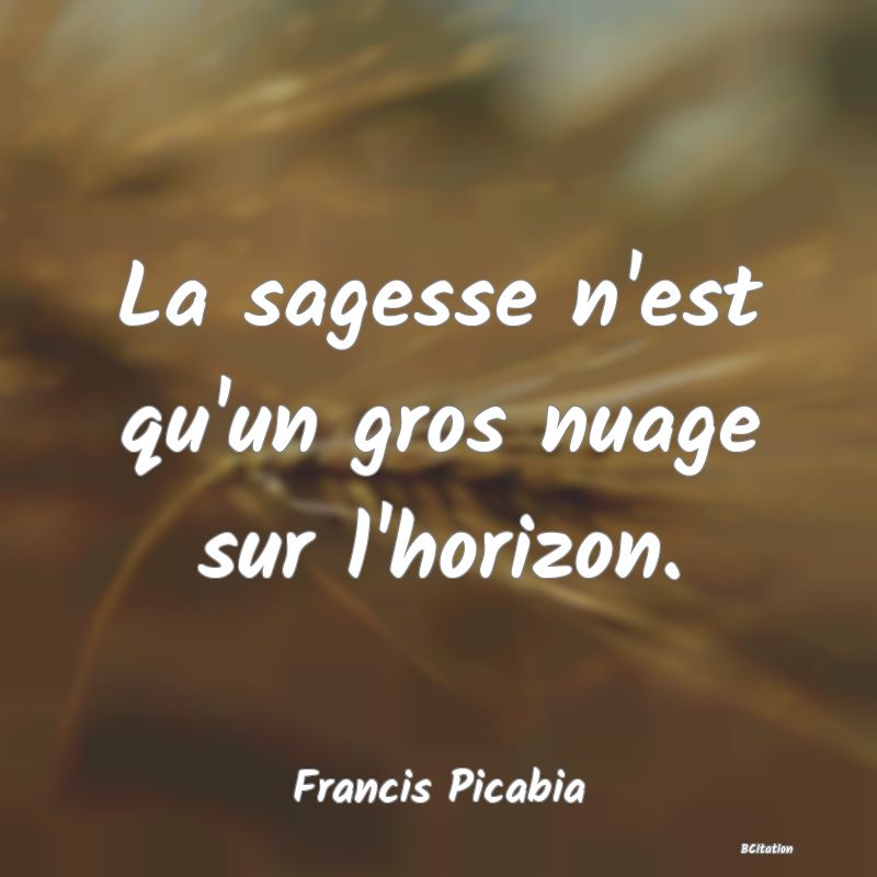 Belle Citation - La sagesse n'est qu'un gros nuage sur l'horizon. - Francis Picabia