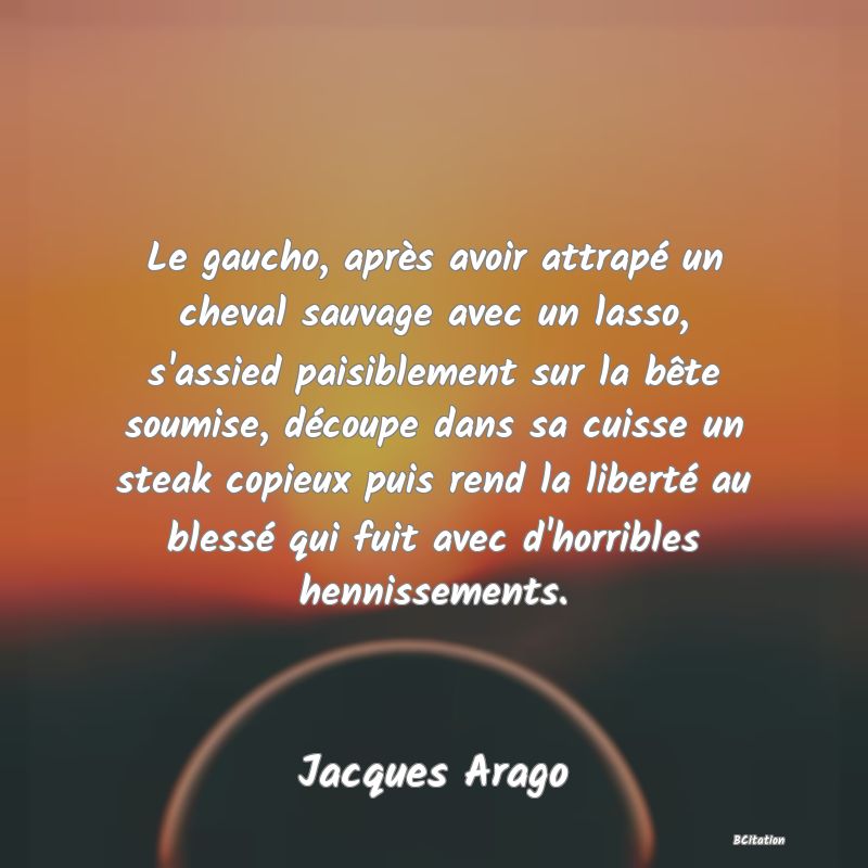 image de citation: Le gaucho, après avoir attrapé un cheval sauvage avec un lasso, s'assied paisiblement sur la bête soumise, découpe dans sa cuisse un steak copieux puis rend la liberté au blessé qui fuit avec d'horribles hennissements.