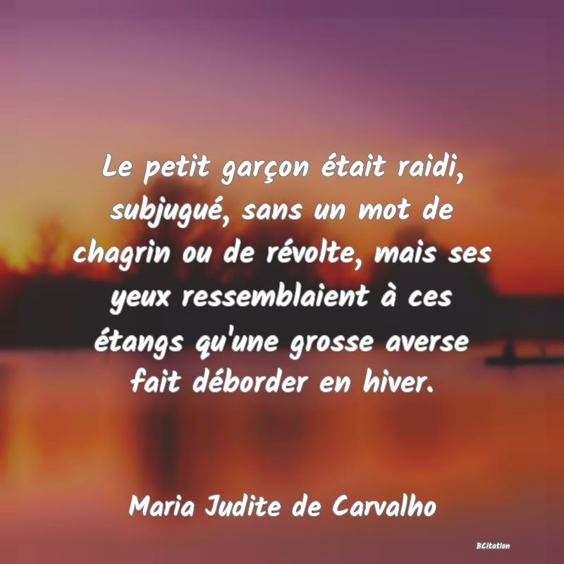 Belle Citation - Le petit garçon était raidi, subjugué, sans un mot de chagrin ou de révolte, mais ses yeux ressemblaient à ces étangs qu'une grosse averse fait déborder en hiver. - Maria Judite de Carvalho