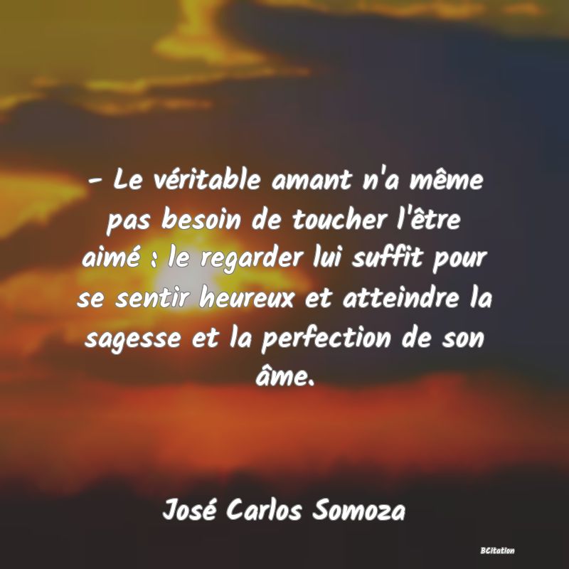 image de citation: - Le véritable amant n'a même pas besoin de toucher l'être aimé : le regarder lui suffit pour se sentir heureux et atteindre la sagesse et la perfection de son âme.