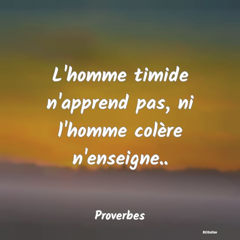 image de citation: L'homme timide n'apprend pas, ni l'homme colère n'enseigne..