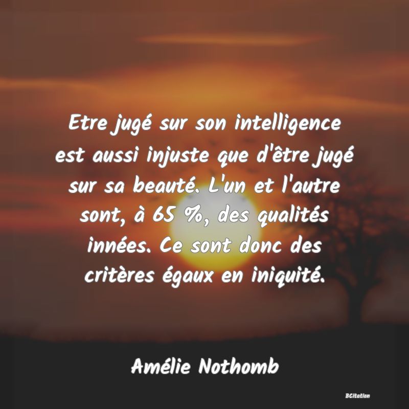 image de citation: Etre jugé sur son intelligence est aussi injuste que d'être jugé sur sa beauté. L'un et l'autre sont, à 65 %, des qualités innées. Ce sont donc des critères égaux en iniquité.