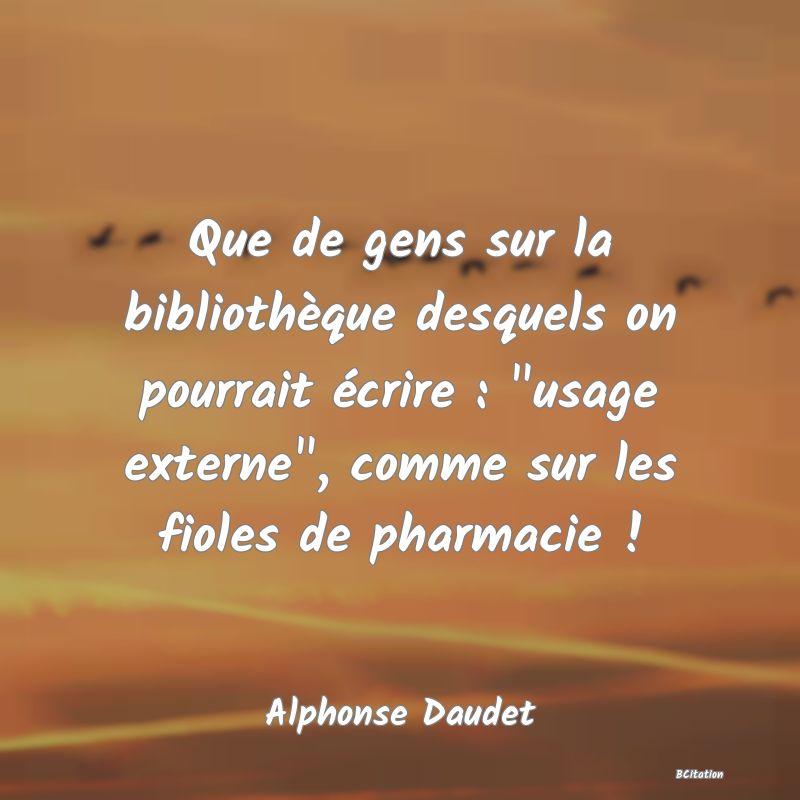 Belle Citation - Que de gens sur la bibliothèque desquels on pourrait écrire : 