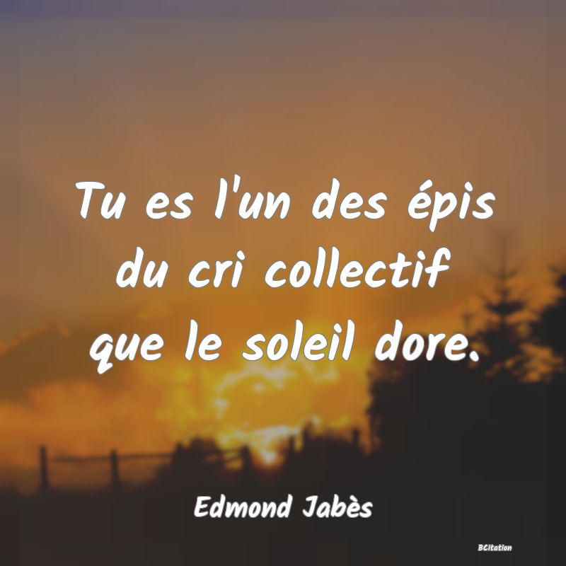 image de citation: Tu es l'un des épis du cri collectif que le soleil dore.