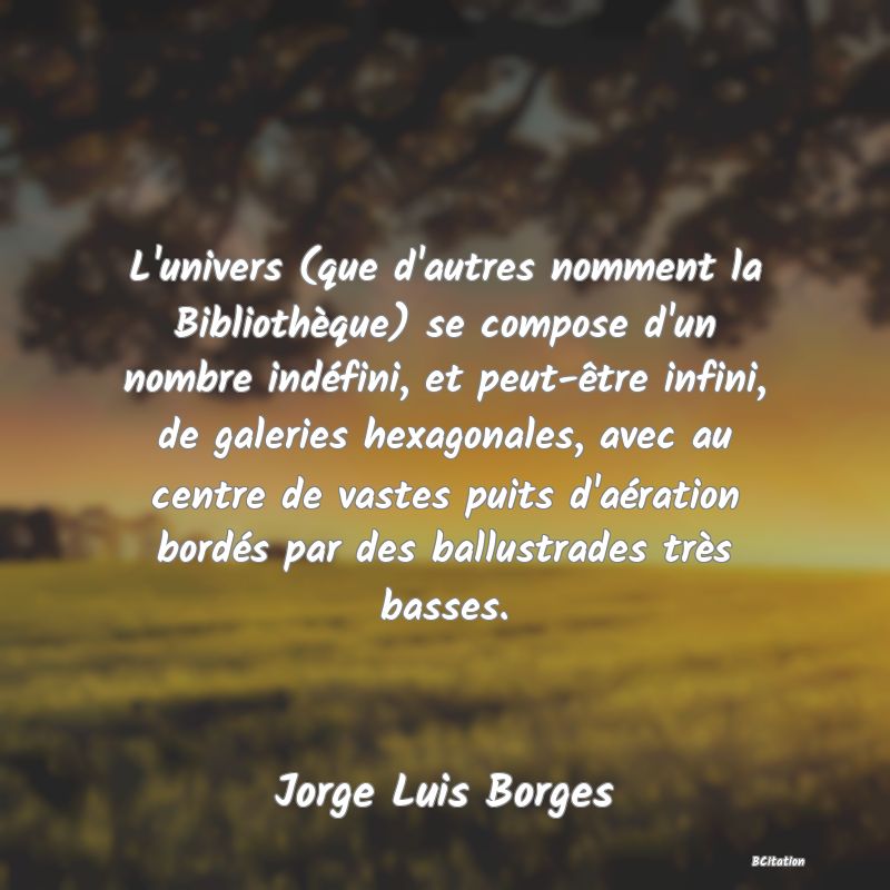 image de citation: L'univers (que d'autres nomment la Bibliothèque) se compose d'un nombre indéfini, et peut-être infini, de galeries hexagonales, avec au centre de vastes puits d'aération bordés par des ballustrades très basses.