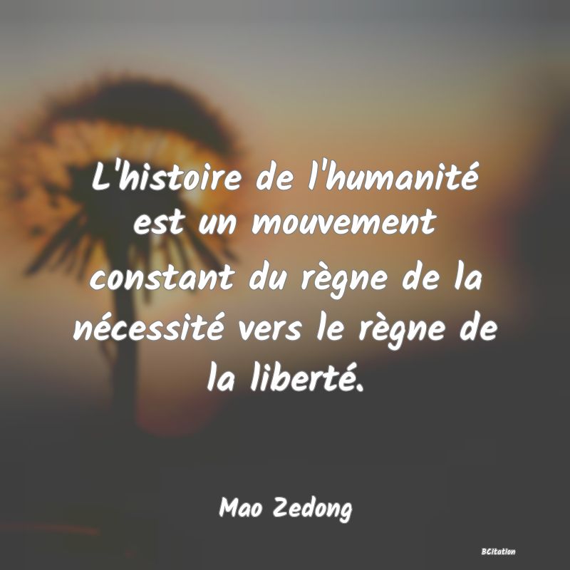 image de citation: L'histoire de l'humanité est un mouvement constant du règne de la nécessité vers le règne de la liberté.