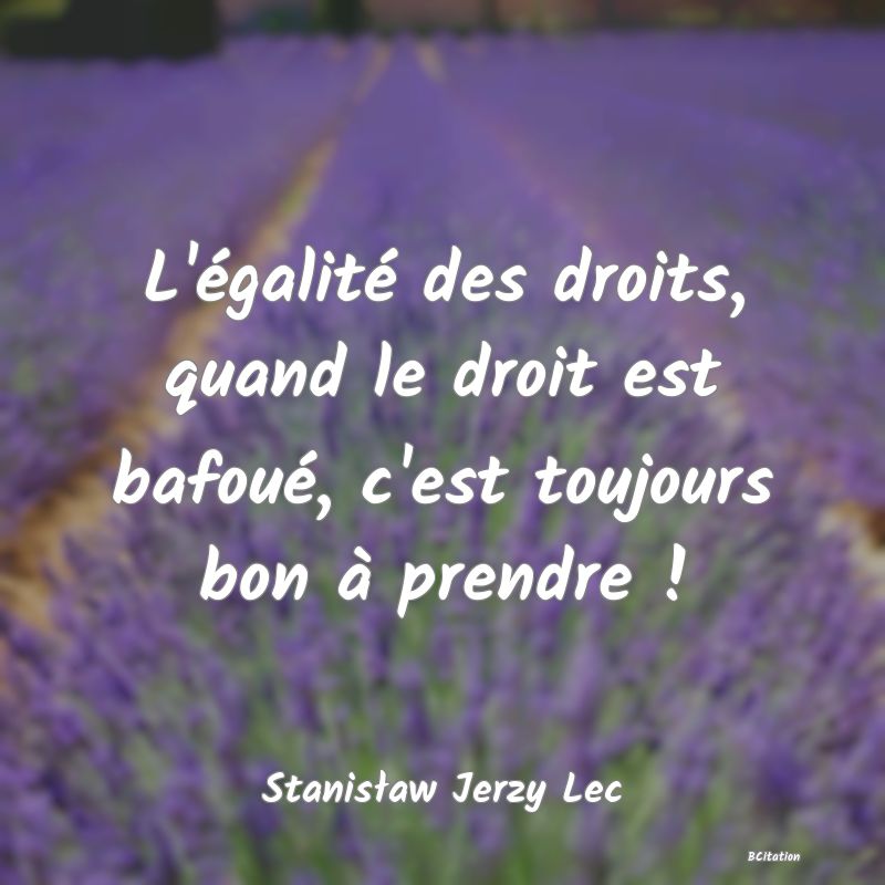 Belle Citation - L'égalité des droits, quand le droit est bafoué, c'est toujours bon à prendre ! - Stanisław Jerzy Lec