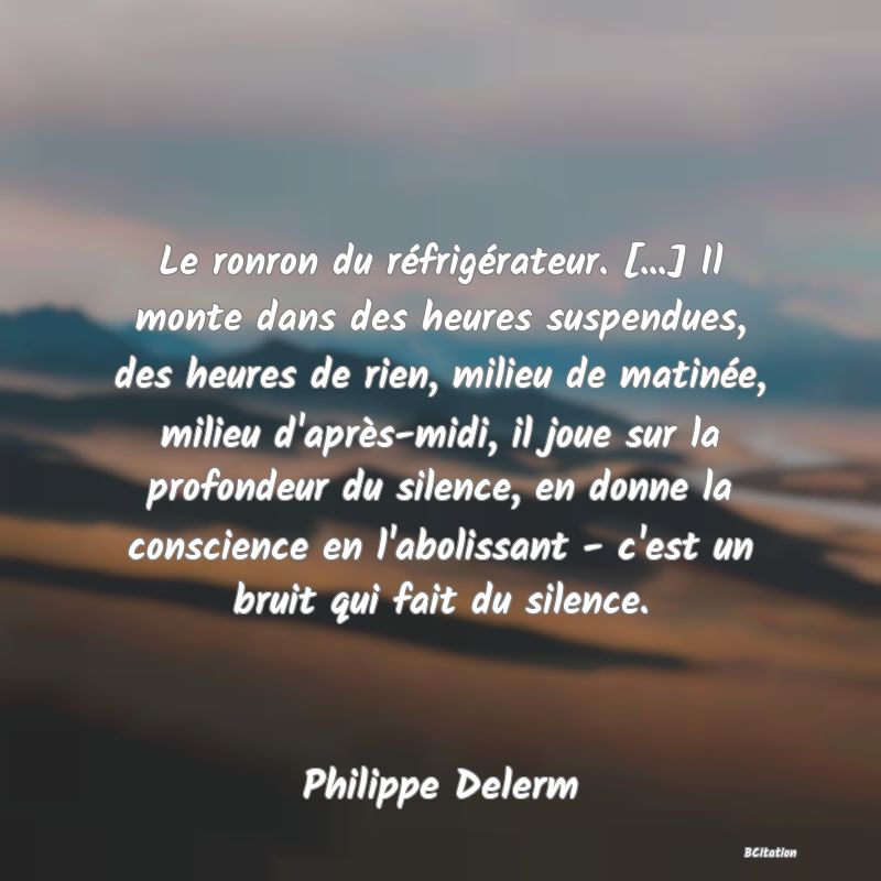 image de citation: Le ronron du réfrigérateur. [...] Il monte dans des heures suspendues, des heures de rien, milieu de matinée, milieu d'après-midi, il joue sur la profondeur du silence, en donne la conscience en l'abolissant - c'est un bruit qui fait du silence.