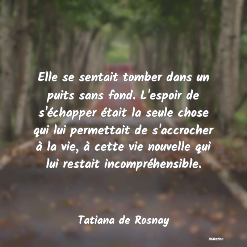 image de citation: Elle se sentait tomber dans un puits sans fond. L'espoir de s'échapper était la seule chose qui lui permettait de s'accrocher à la vie, à cette vie nouvelle qui lui restait incompréhensible.